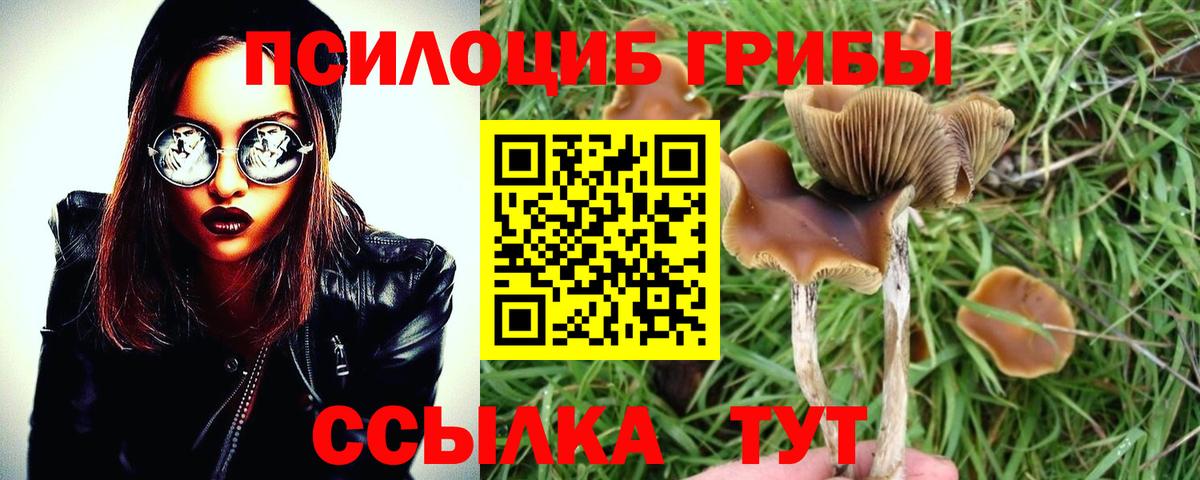 Галлюциногенные грибы Psilocybine cubensis  Вход с VPN  где купить наркотик  Протвино 