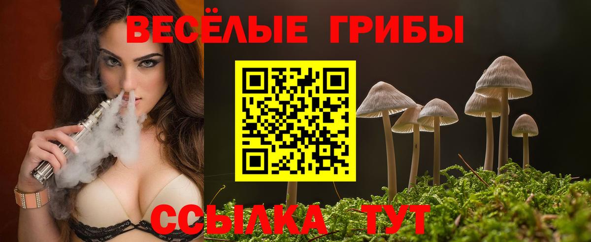 Псилоцибиновые грибы Psilocybe Протвино